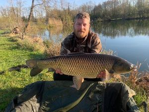 Grass Carp