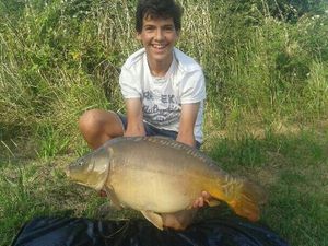 Mirror Carp