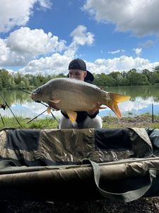 Leather Carp