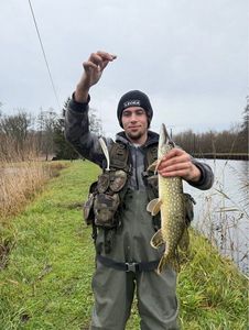 Northern Pike