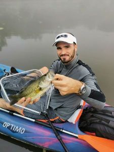 Largemouth Bass