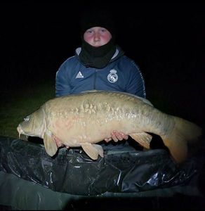 Mirror Carp
