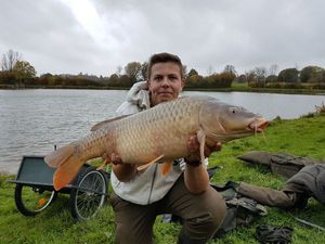 Common Carp