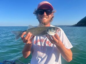 European Bass (Seabass)
