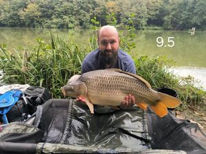 Common Carp