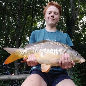 Mirror Carp