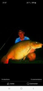 Mirror Carp