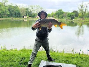 Common Carp