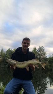 Northern Pike