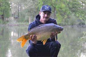 Mirror Carp
