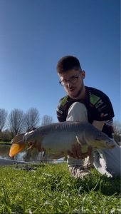Leather Carp