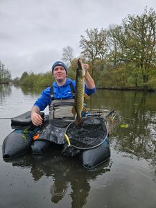 Northern Pike