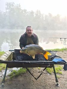Mirror Carp