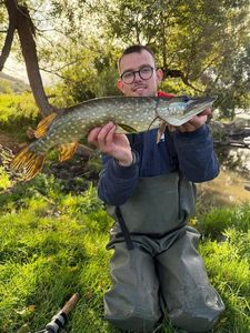 Northern Pike