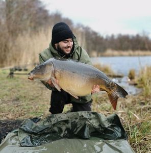 Mirror Carp