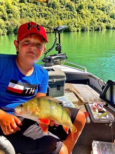 European Perch