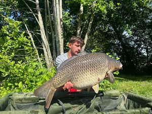 Common Carp