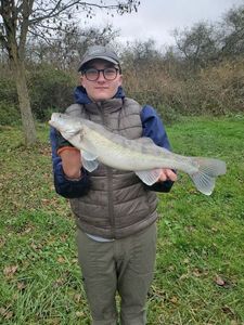 Zander