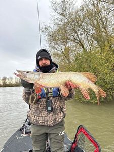 Northern Pike