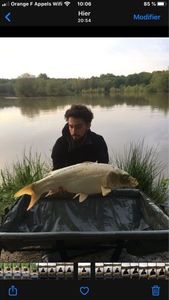 Mirror Carp
