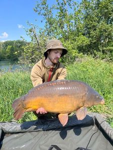 Mirror Carp