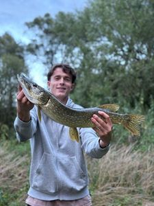 Northern Pike
