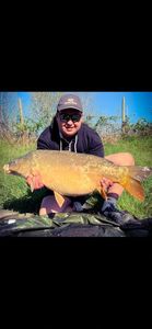 Mirror Carp