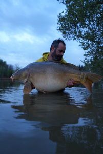 Mirror Carp