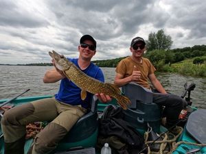 Northern Pike