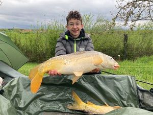 Mirror Carp
