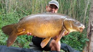 Mirror Carp