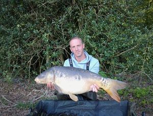 Mirror Carp