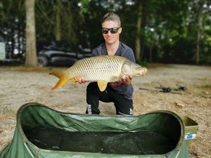 Common Carp