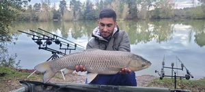 Grass Carp