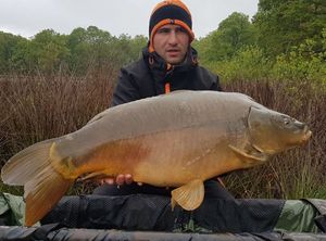 Mirror Carp