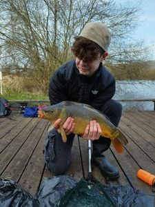 Mirror Carp