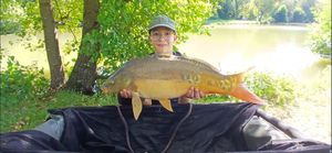 Mirror Carp