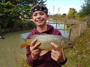 Common Carp