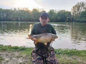 Common Carp