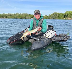 Northern Pike