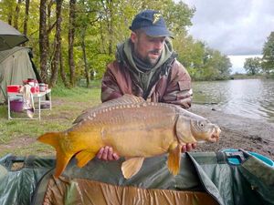 Mirror Carp