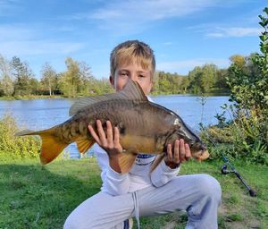 Mirror Carp