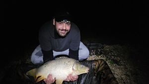 Common Carp