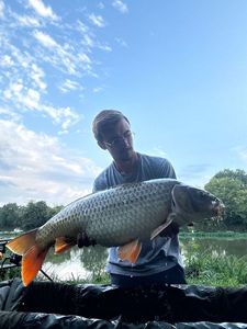 Common Carp