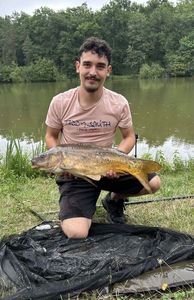 Mirror Carp