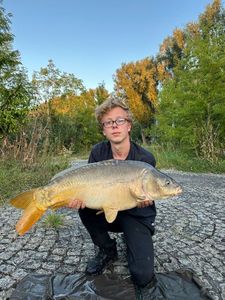 Mirror Carp