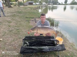 Mirror Carp