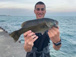 Smallmouth Bass