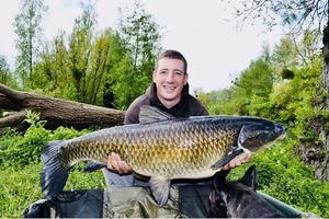 Silver Carp