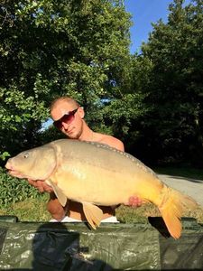 Mirror Carp